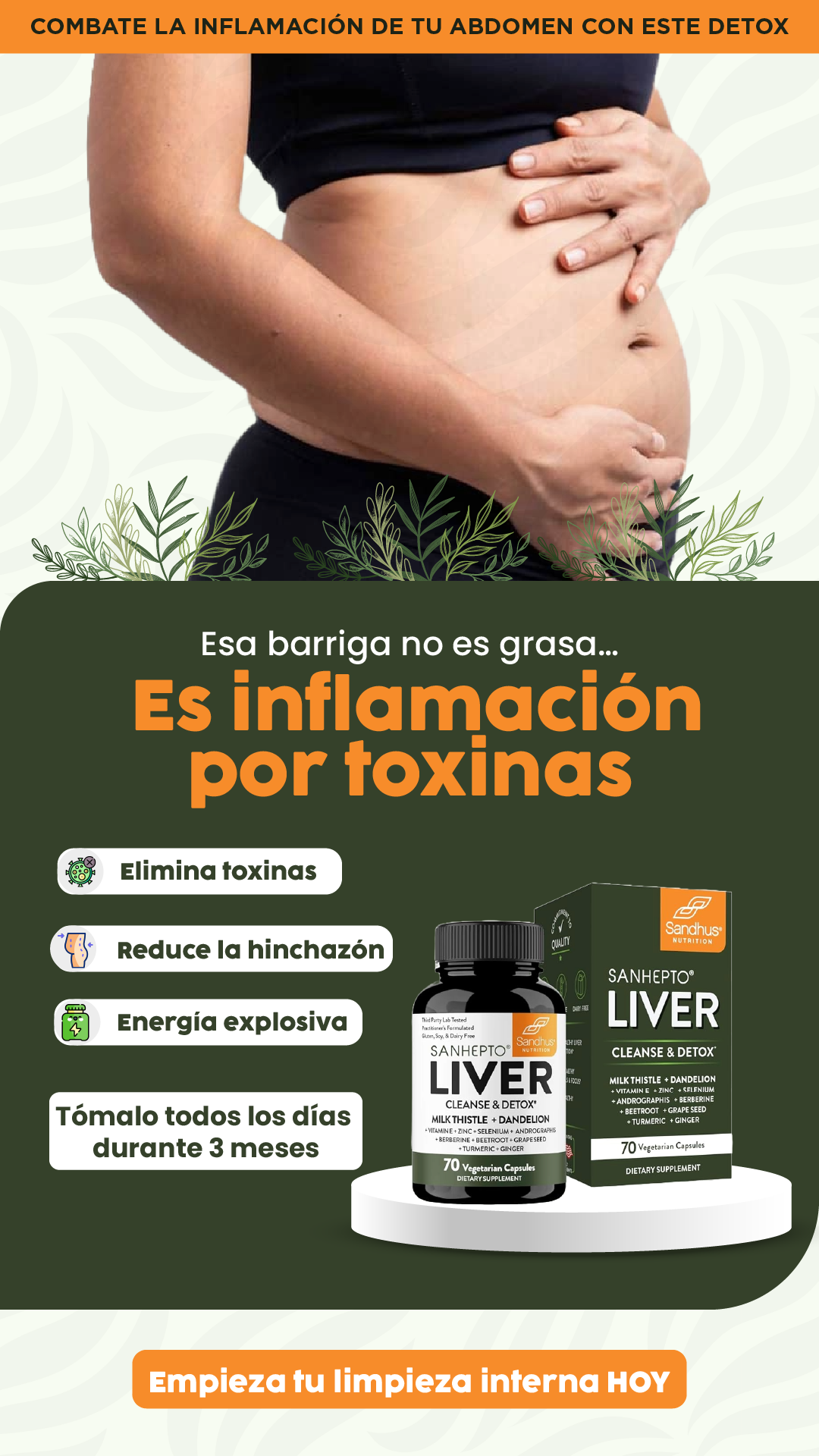 Liver| Elimina toxinas acumuladas.